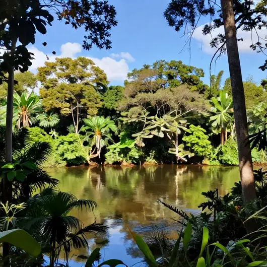 Descubra a APA do Curiaú: Um Paraíso Natural em Macapá