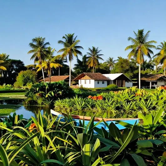 Descubra Bailique: Um Paraíso Natural Descubra Bailique: Um Paraíso Natural