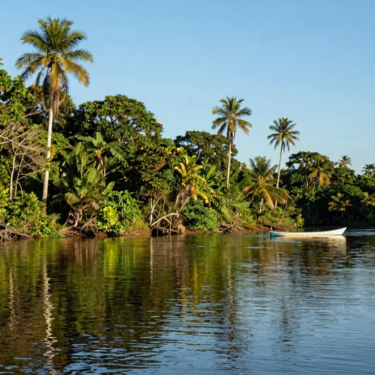 Descubra os 17 melhores lugares em Ferreira Gomes, Amapá