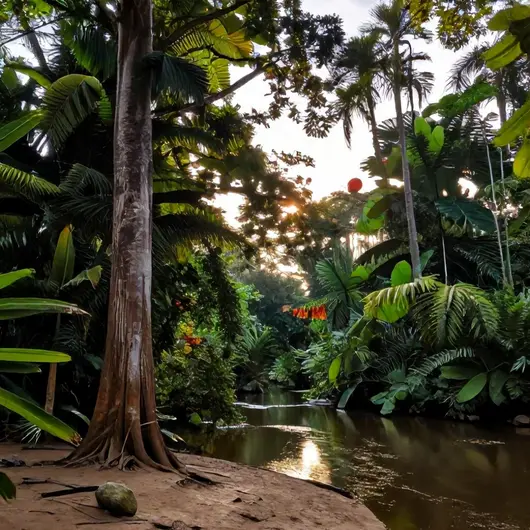 Ecoturismo em Macapá: Descubra as Belezas Naturais do Amapá