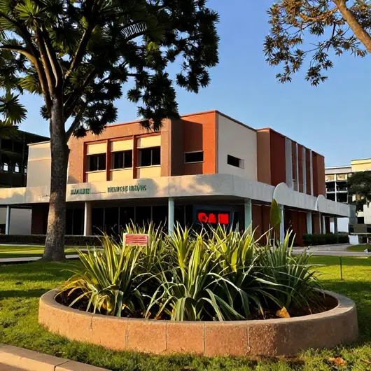 Museu de Artes: Um Patrimônio da Cultura Museu de Artes: Um Patrimônio da Cultura