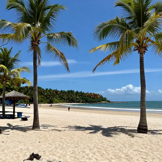 Descubra a Praia da Fazendinha Descubra a Praia da Fazendinha