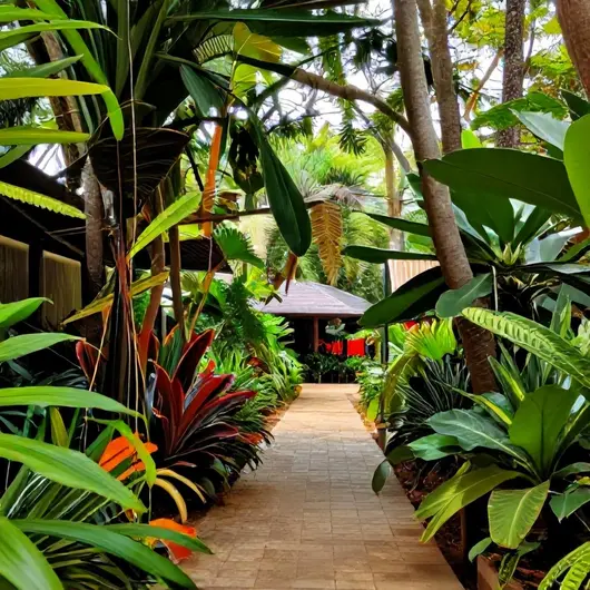 Descubra o Espaço Tropical MCP