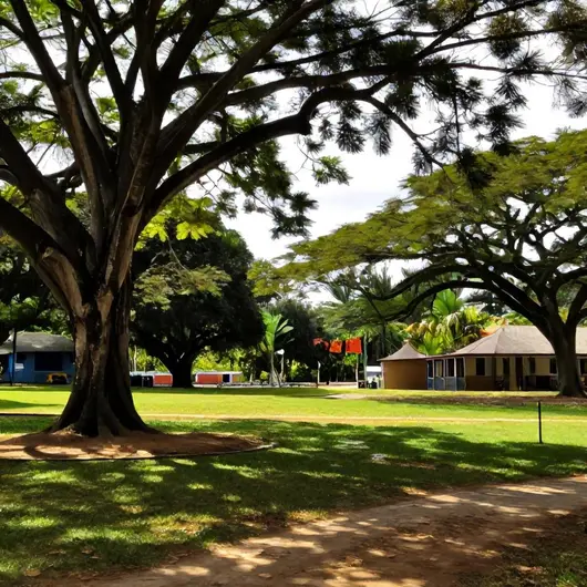 Descubra o Flamboyant Park