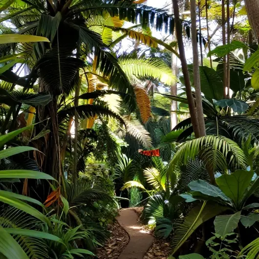 Descubra o Parque Estadual Paulo César Vinha