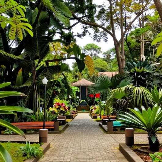 Descubra o Parque Meio do Mundo