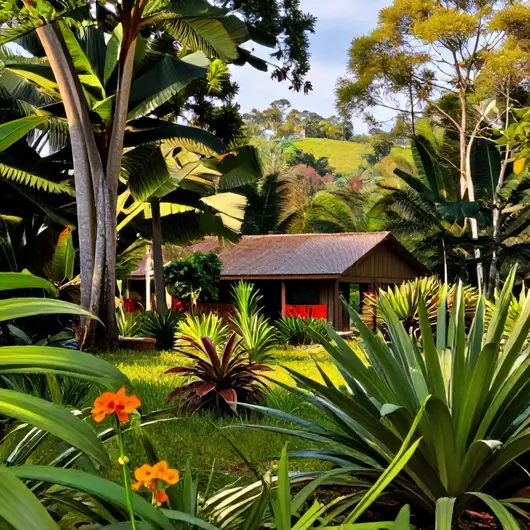 Fazendinha Rio: Um Refúgio Natural
