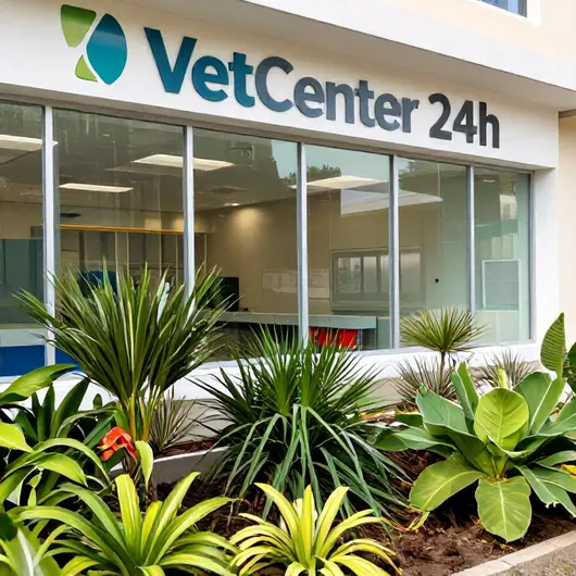 Vetcenter 24h
