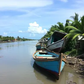mutirão retirada barcos abandonados