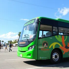 ônibus gratuitos Expofeira 2026