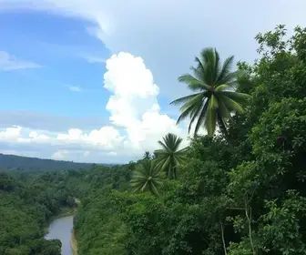 Previsão do tempo em Macapá AP para os próximos dias